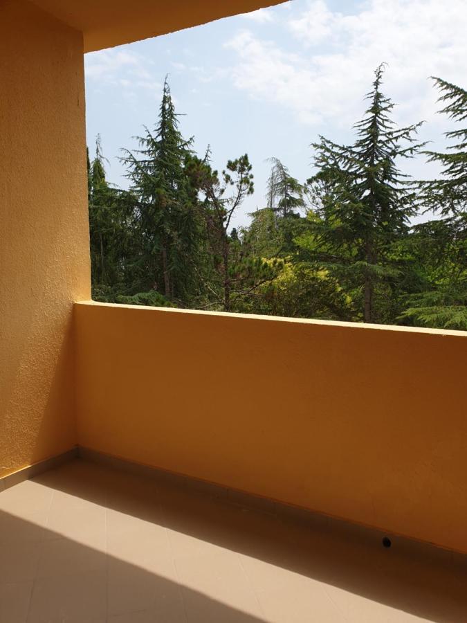 Парк-Отель Олимп Pizunda Exterior foto
