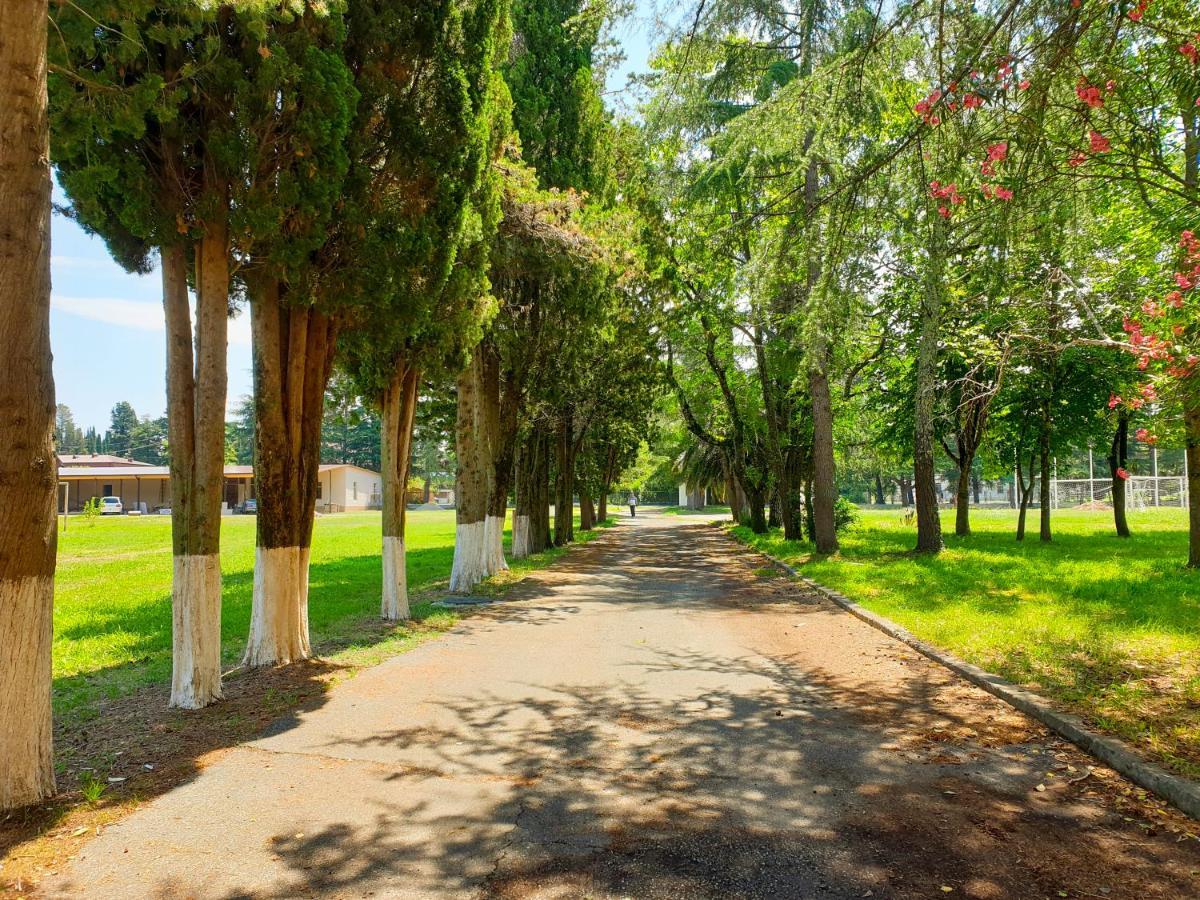 Парк-Отель Олимп Pizunda Exterior foto
